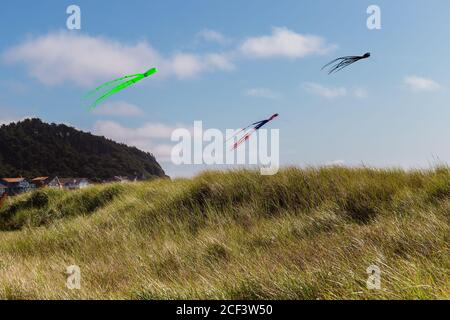 Trois cerfs-volants colorés Windsock survolant Grass Dunes au Ocean Beach Banque D'Images