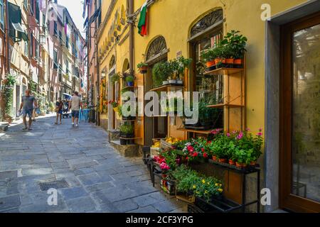 Une petite épicerie aux herbes et plantes à fleurs exposées sur une ruelle étroite dans le vieux village de pêcheurs, Porto Venere, la Spezia, Ligurie, Italie Banque D'Images