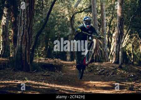 homme méconnaissable dans un casque, des gants et des lunettes de protection sautant faire un tour de fouet en descente pendant la pratique du vtt dans la forêt de bois Banque D'Images