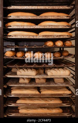 Pains et petits pains frais délicieux placés sur du métal plateaux sur le rack dans la boulangerie Banque D'Images