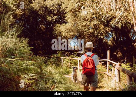 Vue arrière de la vieille femme touristique avec sac à dos rouge regardant le grand chien assis sur le chemin de bosquet densément peuplé d'arbres Banque D'Images