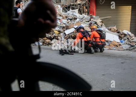 Beyrouth, Liban. 03ème septembre 2020. Les membres de l'équipe de sauvetage chilienne tend Fetch, le chien de secours qui a détecté un éventuel survivant sous les décombres d'un bâtiment qui s'est effondré lors de l'explosion du mois dernier, lors d'une opération de sauvetage dans la région de Gemayizeh. Credit: Marwan Naamani/dpa/Alamy Live News Banque D'Images