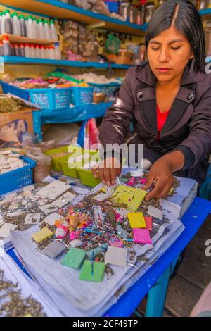 Marché agricole du Mercado Campesinoso, sucre, capitale constitutionnelle de la Bolivie, capitale du département de Chuquisaca, Bolivie, Amérique latine Banque D'Images