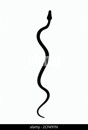 Serpent silhouette noir. Symbole isolé ou serpent d'icône sur fond blanc. Serpent de signe abstrait. Illustration vectorielle. Illustration de Vecteur