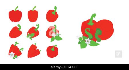 Ensemble de poivrons rouges doux. Différents poivrons en assortiment avec feuilles, bourgeons et fleurs. Design pour l'épicerie, les produits culinaires, l'assaisonnement et les épices pa Illustration de Vecteur