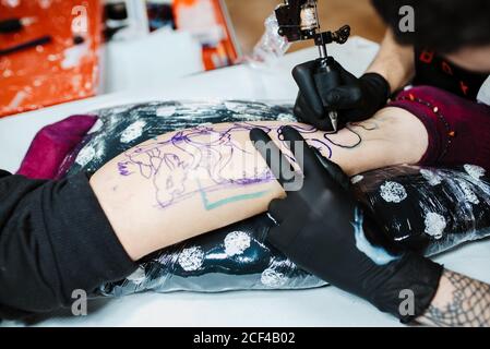 De dessus anonyme court tatoueur en gants de latex utilisant tatouage machine pour créer une esquisse sur le segment du client de récolte dans salon moderne Banque D'Images