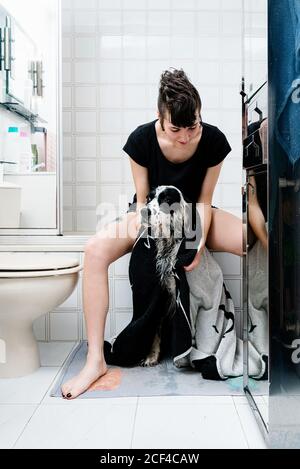 Femme adulte propriétaire séchage de fourrure de l'obéissant compositeur anglais à l'aide de serviette douce dans une salle de bains compacte et moderne, à la maison bain Banque D'Images