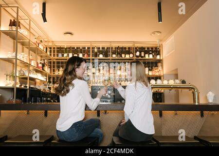 Vue arrière de deux amies souriantes et verres à clinking de cocktails alcoolisés tout en passant du temps dans le bar de confortable restaurant Banque D'Images