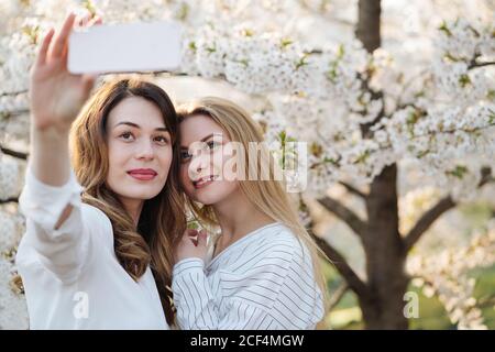Deux jeunes femmes gaies souriant et prenant le selfie près des arbres avec des fleurs blanches le jour ensoleillé dans le parc Banque D'Images