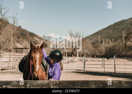 Vue latérale d'une jeune femme qui se gratte la tête d'un cheval incroyable tout en se tenant dans l'enceinte pendant la leçon d'équitation sur le ranch Banque D'Images