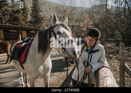 Homme senior dans un casque mettant le bridle sur un cheval blanc pendant cours d'équitation le jour de l'automne sur le ranch Banque D'Images