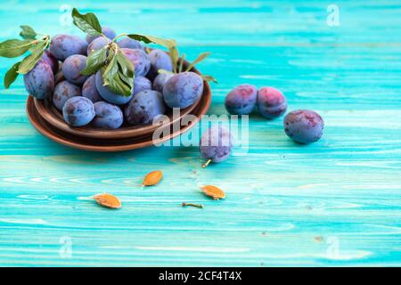 Quelques prunes bleues mûres dans une assiette brune sur une table en bois bleu. Plusieurs os se trouvent séparément Banque D'Images