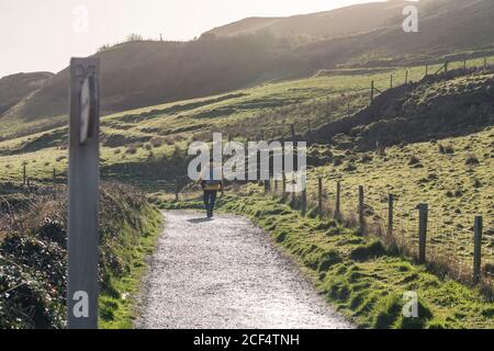 Homme marchant sur une route rurale étroite longeant un champ vert en Irlande du Nord Banque D'Images