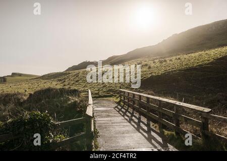 Route rurale étroite longeant un champ vert avec des moutons paître Le jour de printemps ensoleillé sur la côte en Irlande du Nord Banque D'Images