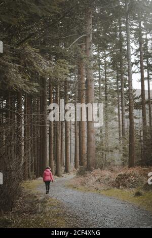 Vue arrière d'une femme anonyme en veste chaude marchant dans la forêt lors d'une visite du parc forestier de Tollymore en Irlande du Nord le jour du printemps Banque D'Images