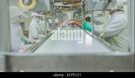 Buenos Aires, ville du sud de Mar del Plata, Argentine - 07 MAI 2015: Vue latérale des bouchers en uniforme blanc travaillant sur le tapis roulant emballant la viande en usine Banque D'Images