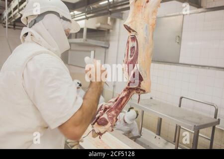 Vue latérale d'un ouvrier bien équipé en uniforme blanc et casque coupant de la viande avec couteau dans la salle industrielle légère de abattoir Banque D'Images