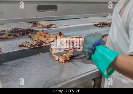 Image de récolte d'un travailleur bien équipé en coupe uniforme blanche viande avec couteau dans la salle industrielle légère de l'abattoir Banque D'Images