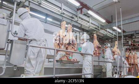 Buenos Aires, ville du sud de Mar del Plata, Argentine - 07 MAI 2015: Bouchers en manutention uniforme blanche avec carcasses d'animaux accrochées sur des crochets Banque D'Images