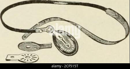 . Hernie abdominale : son diagnostic et son traitement. 5. Barre de poursuite de vis de réglage modifiée. 6. Treillis de Chase en caoutchouc dur Motlified. Banque D'Images