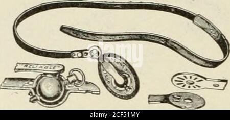 . Hernie abdominale : son diagnostic et son traitement. 4. Bille et douille réglables, avec vis de réglage. 134 HERNL ABDOMINAL. Groupe de truses du type Chase (Coniimie(t).. 5. Barre de poursuite de vis de réglage modifiée. Banque D'Images