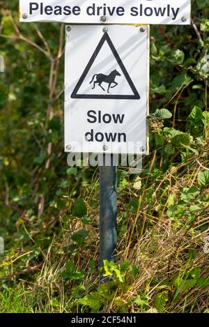 Ralentissez, chevaux, s'il vous plaît conduire lentement, panneau dans Great Wakering, près de Southend, Essex, Royaume-Uni Banque D'Images