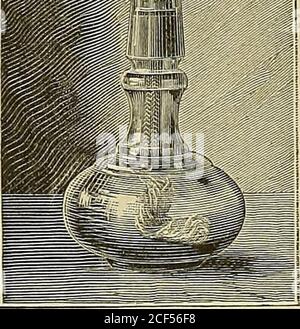 . Krankenpflege féur Mediciner : mit 368 Holzschnitt im Text. Figure 303. Räu Oh erschale.. Banque D'Images