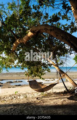 Hamac en osier non occupé suspendu dans l'ombre sous l'arbre courbé sable de mer Banque D'Images