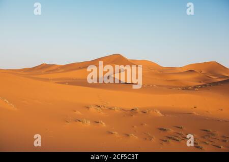 Dune de sable rouge du désert au Maroc Banque D'Images