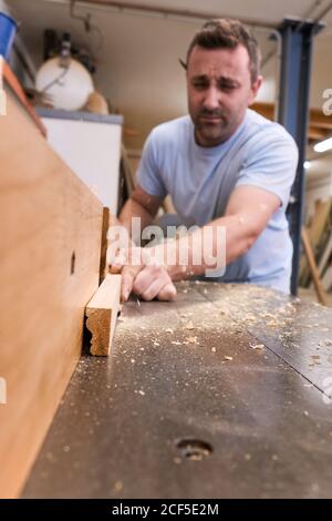 Faible angle de bois de menuisier focalisé tout en détail utilisation d'une machine électrique dans un atelier moderne et léger Banque D'Images