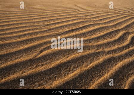 Paysage pittoresque d'une plage de sable ondulée texturée de la côte éloignée à Tarifa, en Espagne Banque D'Images