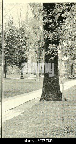 . Record de la classe de dix-huit cent soixante-dix-six de l'université de Princeton. EDWARDS vue de dessus c. Banque D'Images