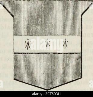 . Une histoire généalogique et héraldique des commisaires de la Grande-Bretagne et de l'Irlande jouissant de biens territoriaux ou d'un haut rang officiel, Mais non investi avec des honneurs héréditaires. les enquêtes ss parmi les documents de theTower n'avaient pas, quand Crawfurd a écrit, donné la bonne direction à la recherche antique.la découverte récente, dans un vieux manuscrit illuminé au British Museum, dans la collection Cotton, des armes de Stephen, troisième comte de Richmond, Qui est mort en 1104, et leur proche similarité avec le manteau porté * ce bouclier, avec un argent bourde, est pré-fixé aux subventions des premières earls, Banque D'Images