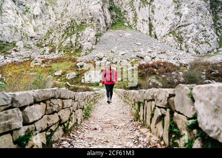 Femme randonneur en blouson rouge avec sac à dos marche en montagne sur le chemin de clôture en pierre dans les sommets de l'Europe, Asturies, Espagne Banque D'Images