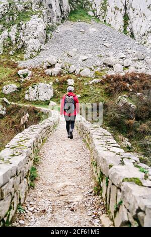 Vue arrière d'une femme méconnue randonneur en veste rouge avec sac à dos marchant en montagne sur un chemin de clôture en pierre dans les sommets de l'Europe, Asturies, Espagne Banque D'Images