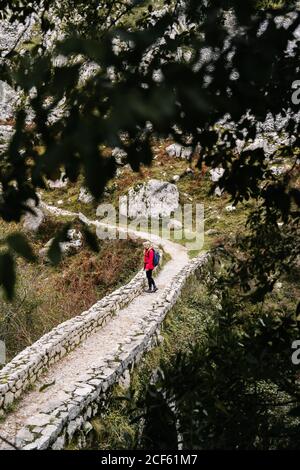 Femme randonneur en blouson rouge avec sac à dos marche en montagne sur le chemin de clôture en pierre dans les sommets de l'Europe, Asturies, Espagne Banque D'Images