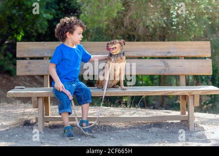 Enfant caressant son chiot avec amour sur un banc en bois dans un parc naturel, par une belle journée d'été, Banque D'Images