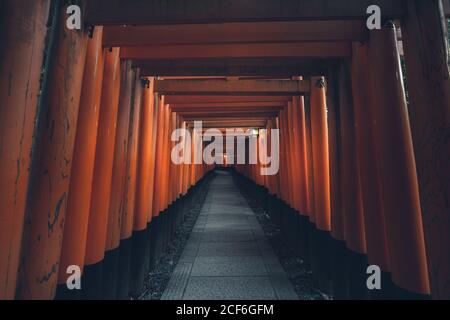 Fushimi Inari Taisha avec chemin en pierre entouré de Torii rouge portes et illuminées par une lanterne traditionnelle Banque D'Images