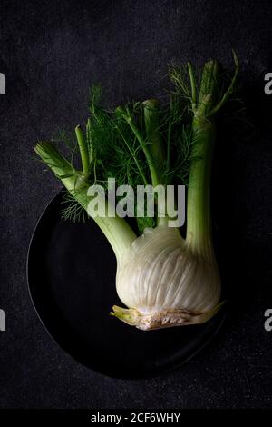 De dessus bio fenouil frais sain et cru alimentation saine Banque D'Images