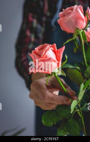 fleuriste professionnel méconnaissable faisant des bouquets de différents types. Roses. Fleurs jaunes. Criques Banque D'Images