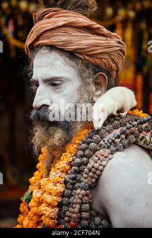 Allahabad City, Inde - FÉVRIER, 2018: Vue latérale de l'Hindou sadhu portant un turban de couleur ocre et des colliers colorés avec une souris blanche sur l'épaule sur le festival Prayag Kumbh Mela Banque D'Images