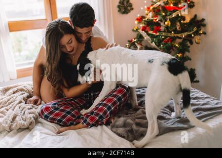 Un jeune couple petant son chien dans son lit à la maison près de l'arbre de noël dans un intérieur confortable. Intérieur avec décorations de noël. Banque D'Images
