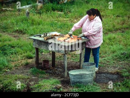 Fairbanks, Alaska, États-Unis. Une femme indienne d'Athbaskan démontre la création d'un filet de saumon. Banque D'Images