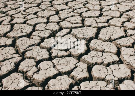 Fissures profondes couvrant la surface sèche du sol par beau temps en campagne Banque D'Images