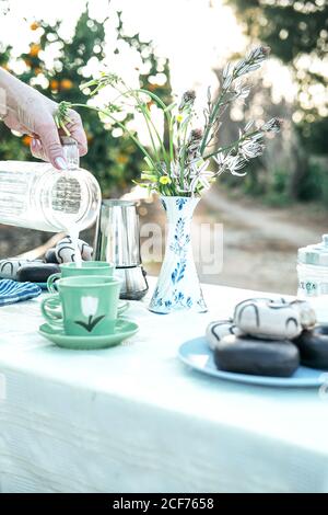 Une femme verse du lait frais dans une tasse en céramique pendant que pique-nique dans le jardin Banque D'Images