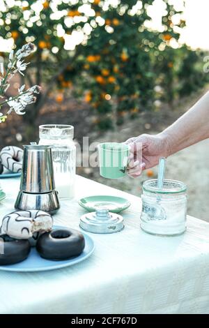 Crop femme avec tasse en céramique verte de boisson savoureuse ayant petit déjeuner à table avec beignets frais sur l'assiette à côté de divers vaisselle dans la nature Banque D'Images