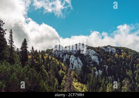 Vue panoramique sur le sentier de montagne de Premuzic, Velebit, Croatie. Banque D'Images