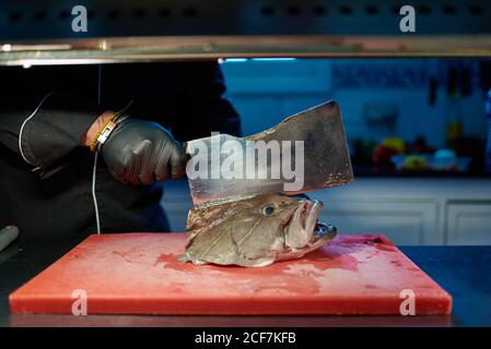 Cuisson non reconnaissable en uniforme noir et gants à l'aide d'un cale métallique tout en coupant la tête de gros poissons frais sur rouge haché planche à table contre l'intérieur flou de la cuisine contemporaine Banque D'Images