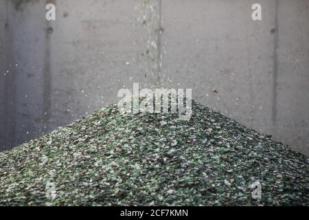 Détails avec des éclats de verre tombant d'un tapis convoyeur sur une pile dans une installation de recyclage de verre. Banque D'Images