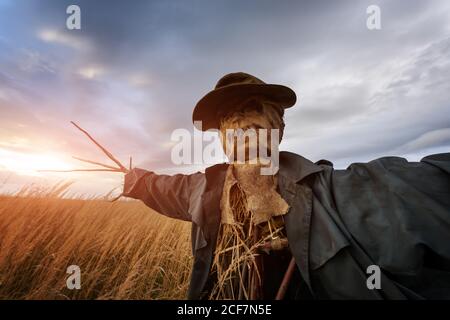 Un épouvantail dans un manteau sombre et un chapeau sale se tient seul dans un champ d'automne à l'heure du coucher du soleil. Gros plan sur le concept d'Halloween Banque D'Images